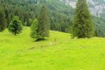 2014-07-05_Laengental-N-Hochweg (346). JPG